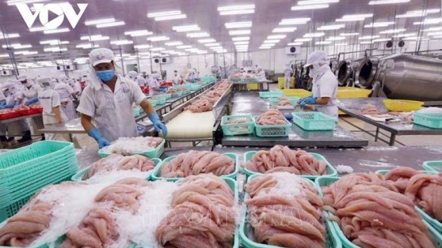 Vietnam represents largest pangasius supplier to Colombia